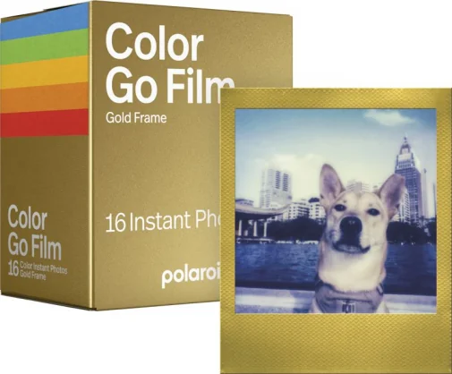 Aksesuaras Polaroid Color Film Go Gold Frame Double Pack
