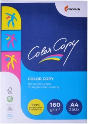 Biuro popierius Igepa Color Copy 160 g/ m2 A4 250vnt