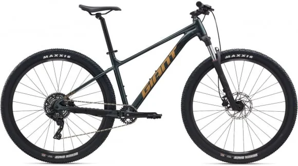 Dviratis Giant Talon 2 29" Asphalt Green (M)