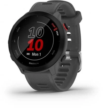 Išmanusis laikrodis Garmin Forerunner 55 GPS Monterra grey 010-02562-13
