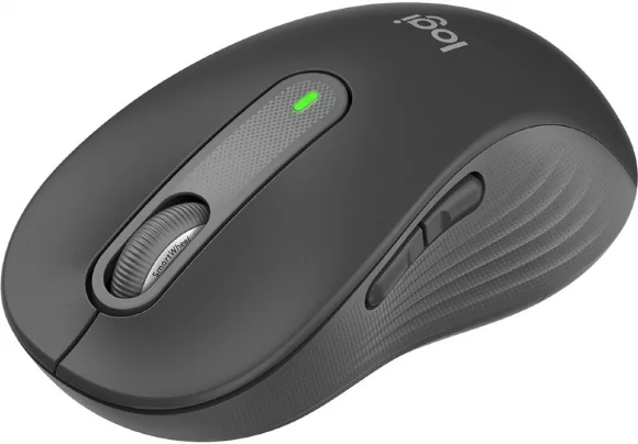 Kompiuterinė pelė Logitech M650 L Graphite 910-006236