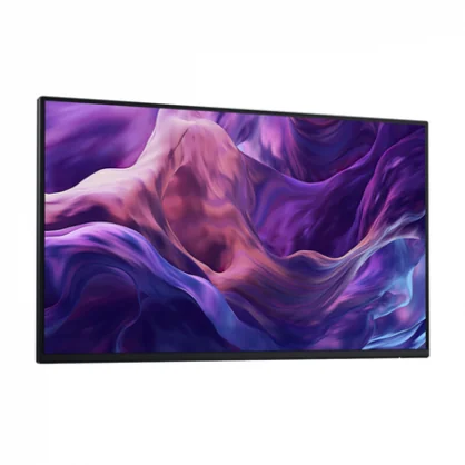 Monitorius Dell P2425HE 23.8" IPS 16:9 No Stand 210-BMTC
