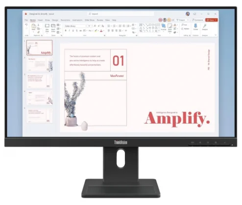 Monitorius Lenovo ThinkVision E24-40 23.8" IPS 16:9