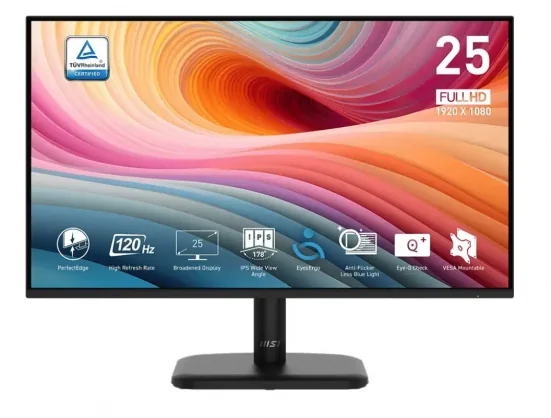 Monitorius MSI Pro MP251LDE E2 24.5" IPS 16:9