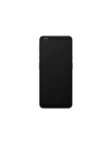Sunmi L3, Dual NFC, Projected Capacitive, hot-swap, USB-C, BT (BLE), Wi-Fi (Wi-Fi), 4G, NFC, Android, kit (USB)